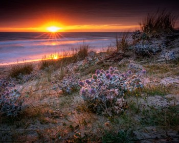 Voir la galerie (8 photos)