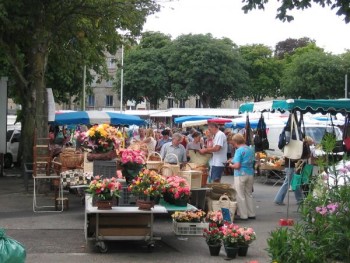 Voir la galerie (6 photos)