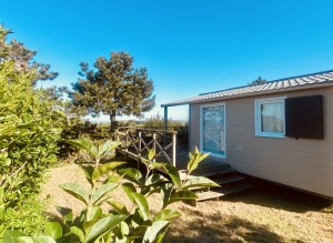 View property